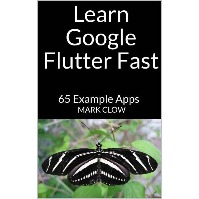 

Learn Google Flutter Fast: 65 Example Apps Mark Clow 2019 Ind