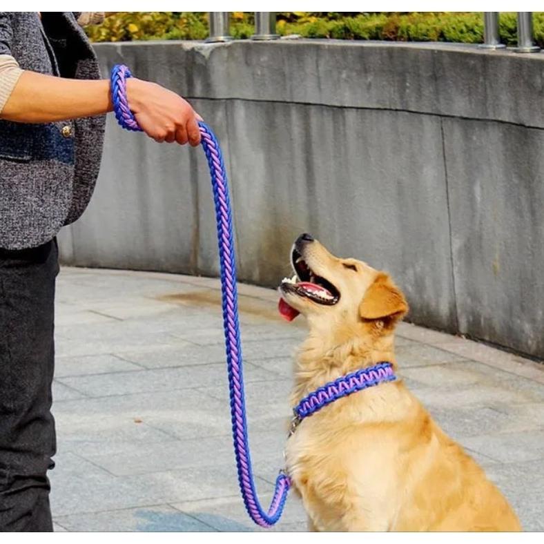 Terbaru Rantai Anjing Penuntun / Tali Anjing Bahan Nilon Kuat
