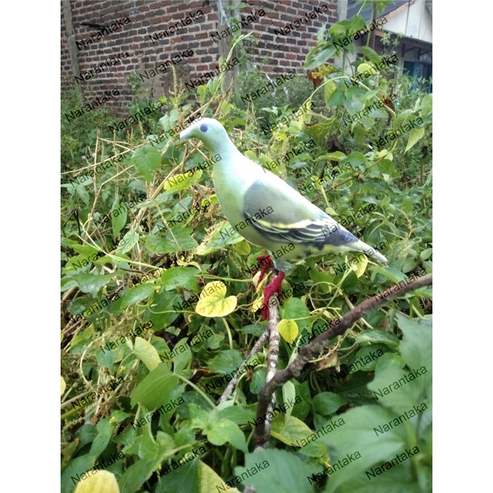 Patung jontrot burung punai hijau