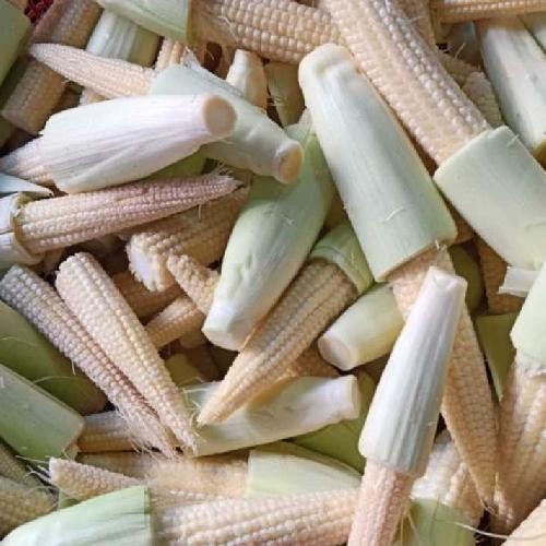 

Sayuran Jagung Muda Baby Corn Jagung Putre Fresh Segar 1 Kg Star