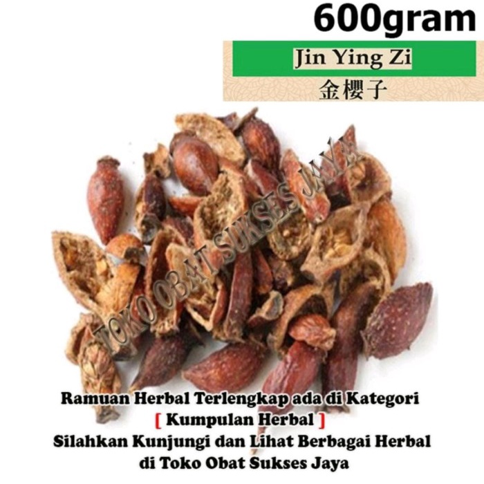 

[600gram] Jin Ying Zi - [ ] - Fructus Rosae Laevigatae