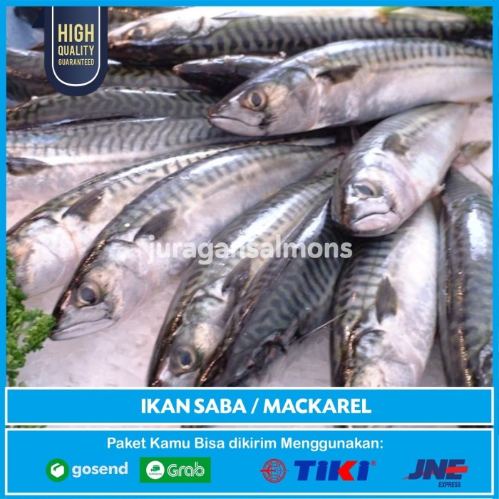 

Promo!!! Ikan Saba Mackarel 1 kg