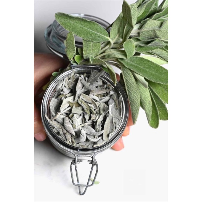 

Pure Dried Sage Leaves 1 kg Daun Sage Kering Murni Tanpa Campuran Best Seller