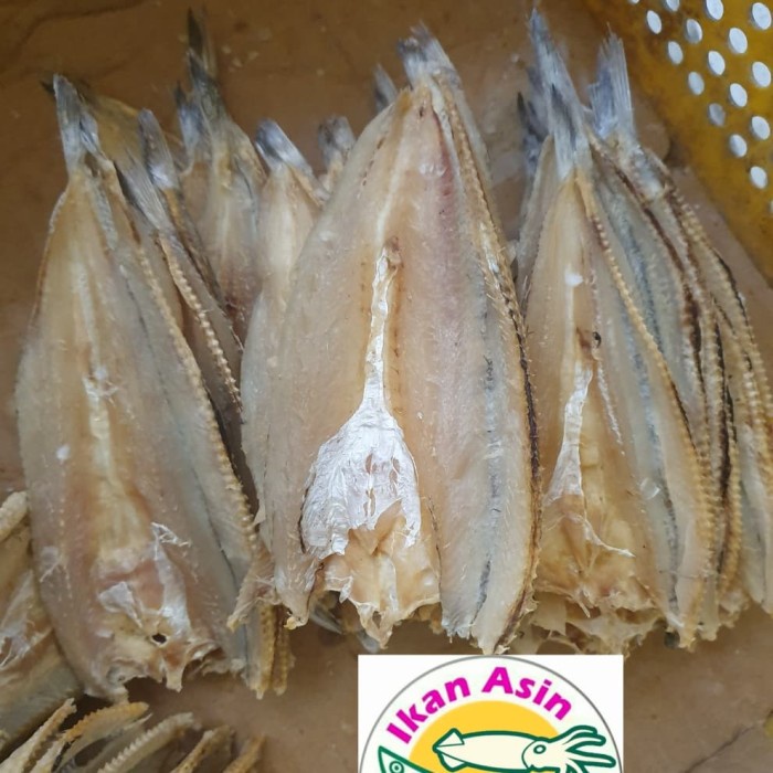 

Ikan Asin Kacang-Kacang 1Kg