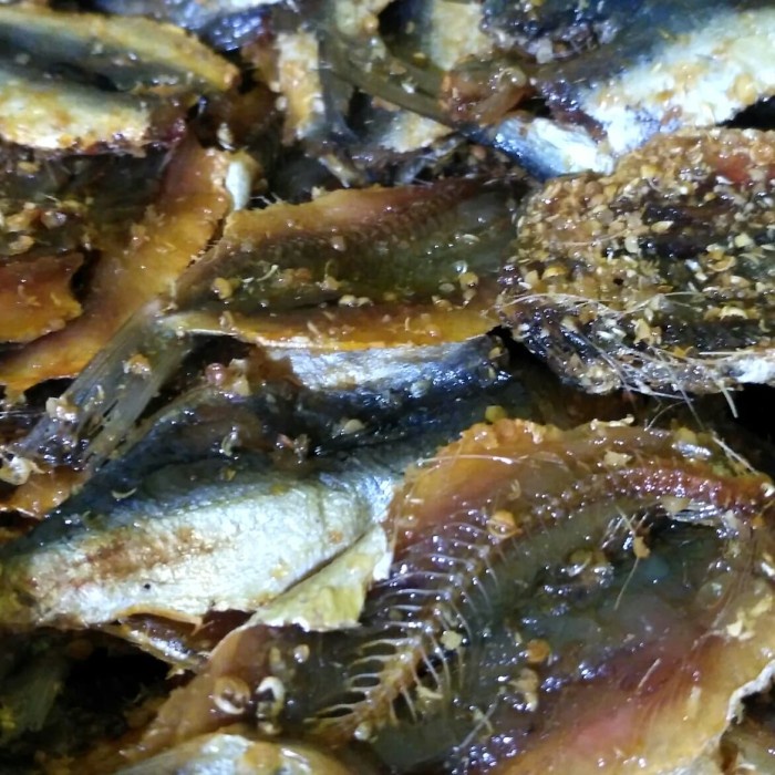 

Ikan Asin Dendeng Tembang 1Kg