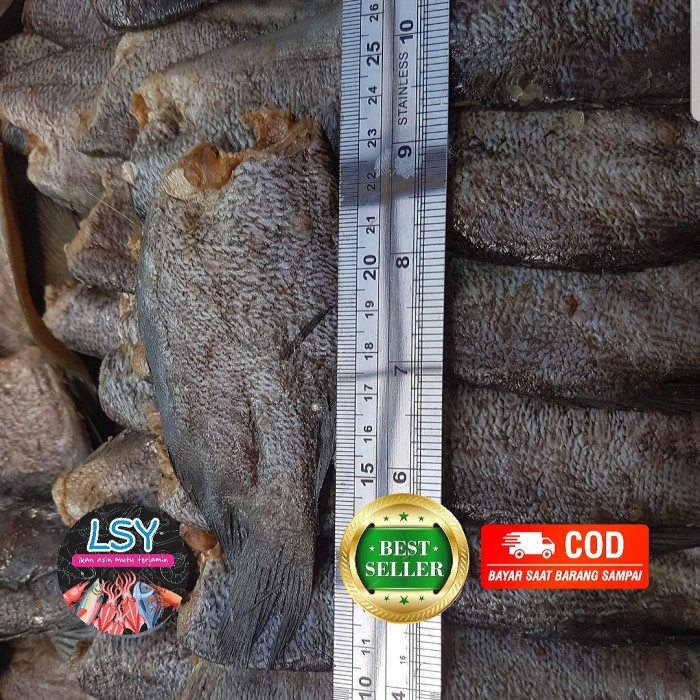 

Ikan Asin Sepat Siam/ Gurami Impor Kualitas No 1 500Gr