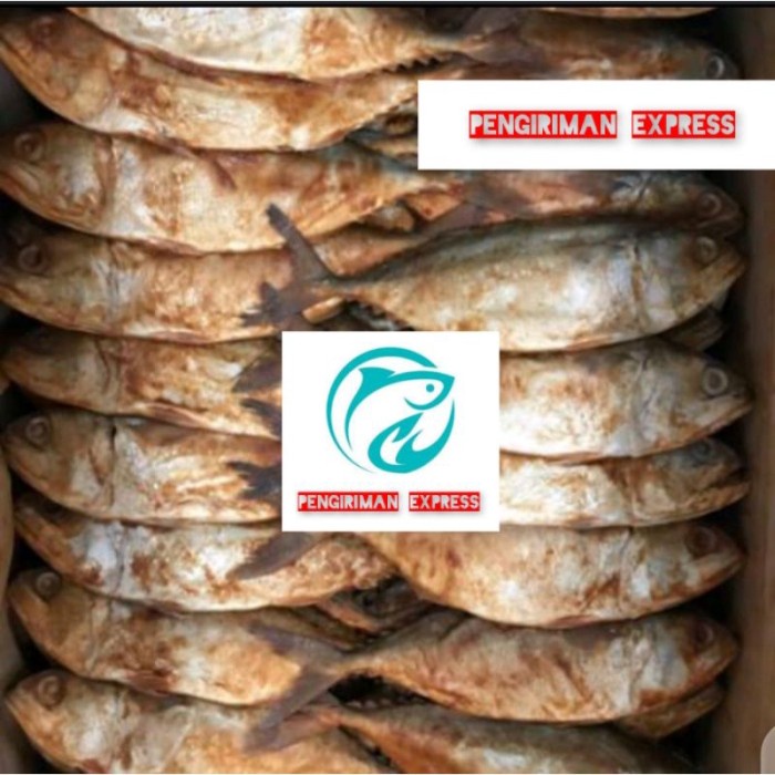 

Ikan Asin Peda Merah-1Kg Khr