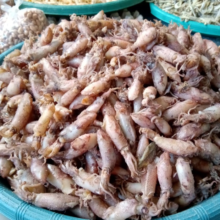 

Cumi Baby Uk 3Cm /Baby Cumi /Cumi Asin/Ikan Asin
