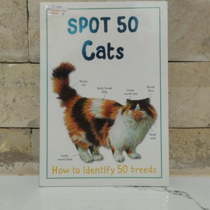 

Diskon !!! Desember Murah Spot 50 Cats - Langsung Kirim