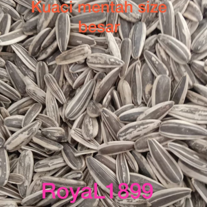 Promo Kuaci Parrot Kwaci Jumbo Sangrai / Mentah Paruh Bengkok Macaw Kakatua