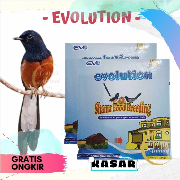 Promo Voer Evolution Voer Evo Shama Food Breeding Pakan Ternak Murai Batu