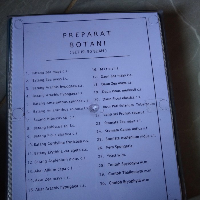 

Preparat Anatomi Tumbuhan 1 Box, Preparate Peraga Pendidikan Biologi