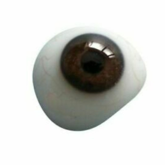 Promo Bola Mata Palsu Buatan/Demo Softlen(Artificial Prosthetic Eye)