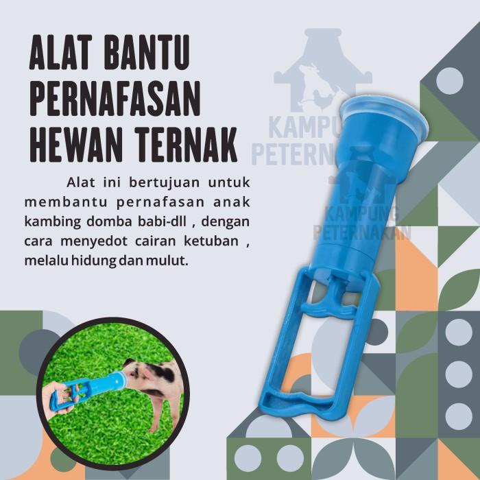 

Alat sedot air ketuban anak kambing domba babi