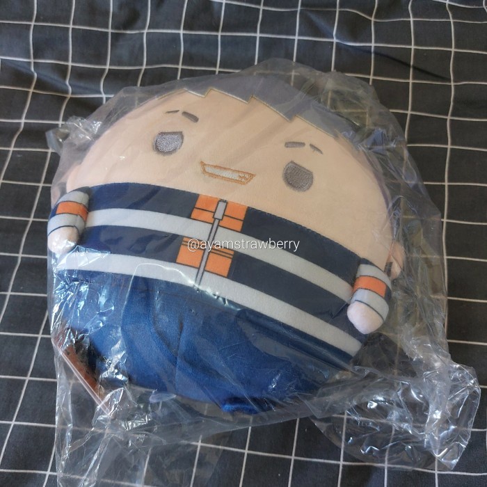 ✅New Ready Tokyo Revengers Boneka Fuwakororin Msize Mitsuya Takahashi Diskon