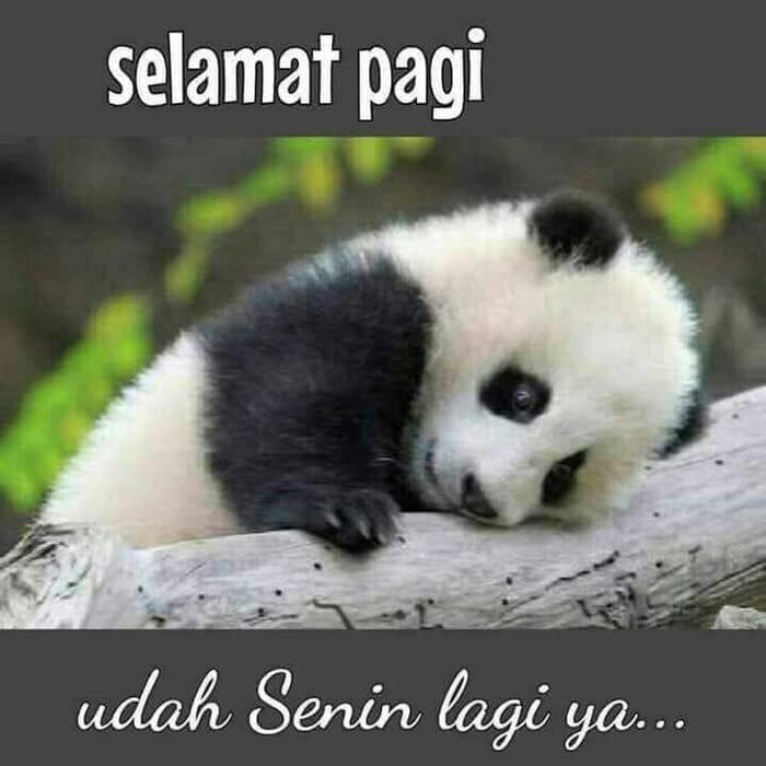 

✨Sale Paket Atk Spesial Berkualitas