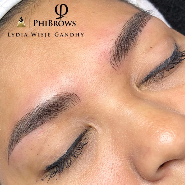 ✨New Ori Phibrows Annual Touchup 50 Terbatas