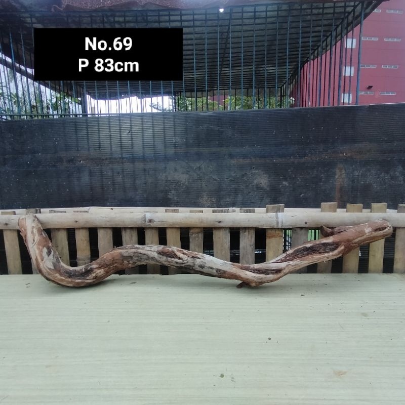 Kayu Santigi Laut Akar Santigi Laut Akar Aquascape Aquarium 69