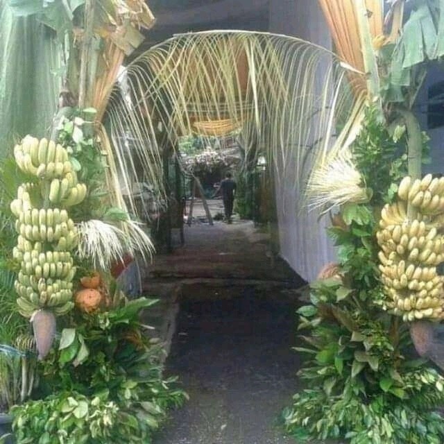 [New] Pisang Tuwuhan Raja Asli Berkualitas