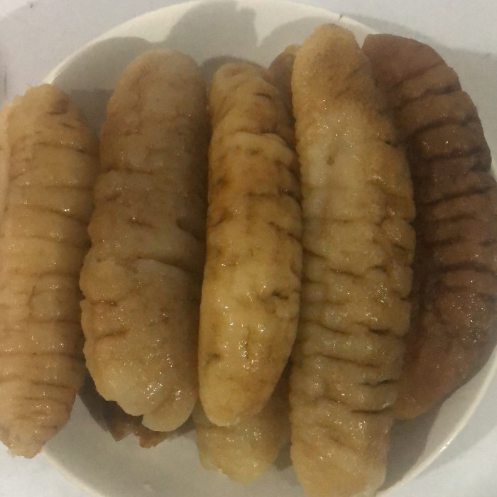 

teripang /hoisem/haisom