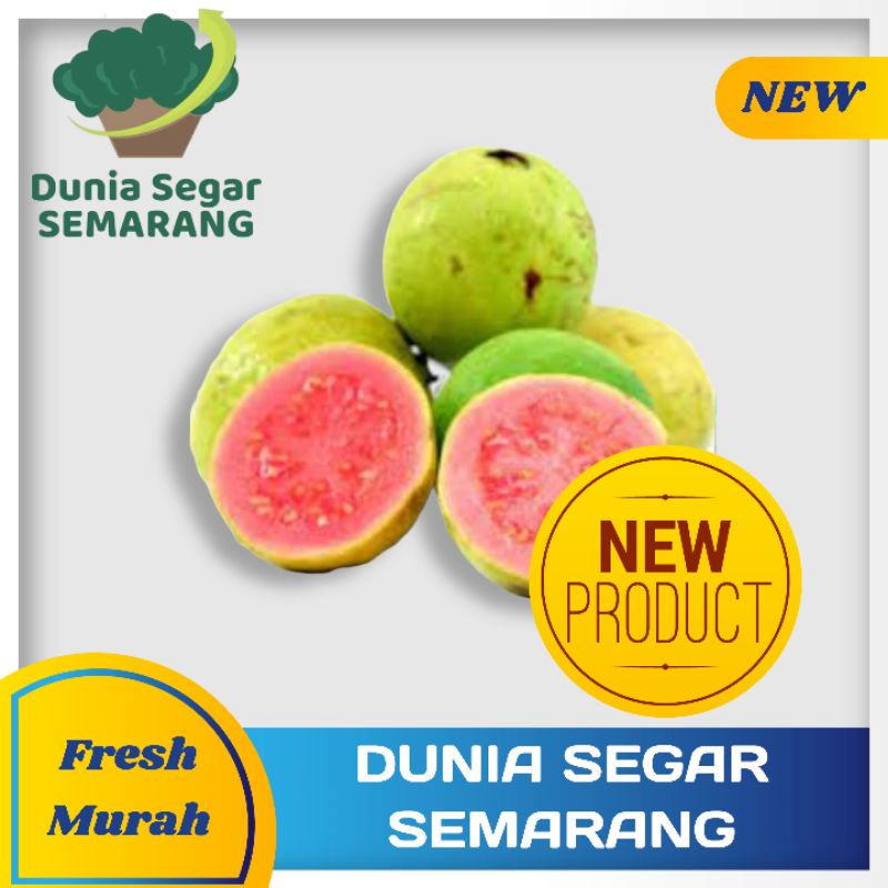 

Buah Jambu Merah Jambu Biji 1kg