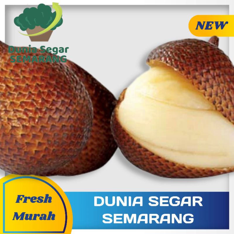 

Buah Salak Pondok 500gr