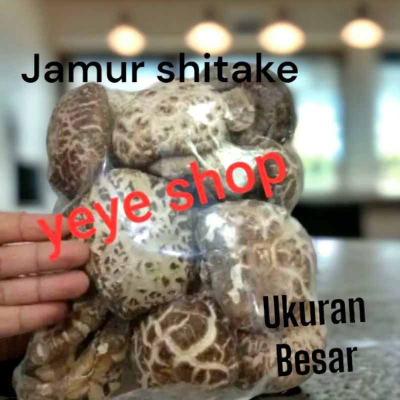 

Ter >Jamur Shitake Besar Grade A/Hioku/Shitake Mushroom -500Gr