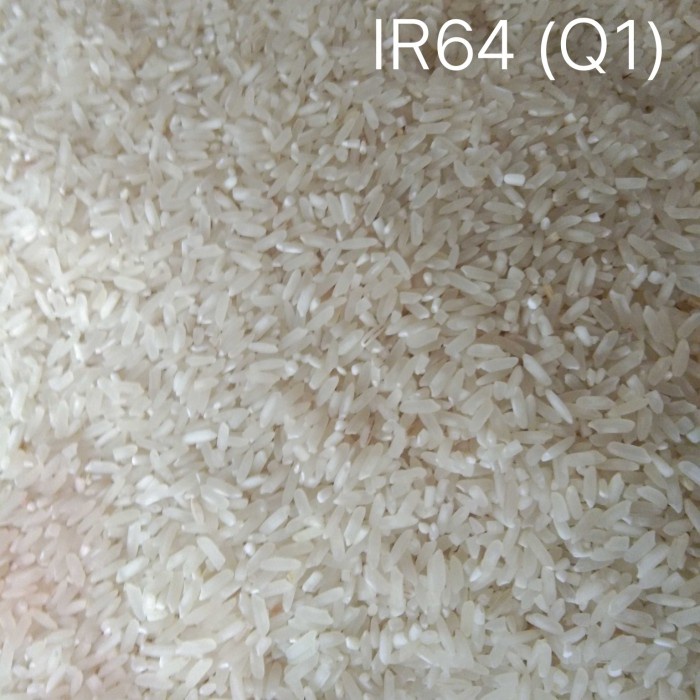 

Ir64 Q1 2Kg.