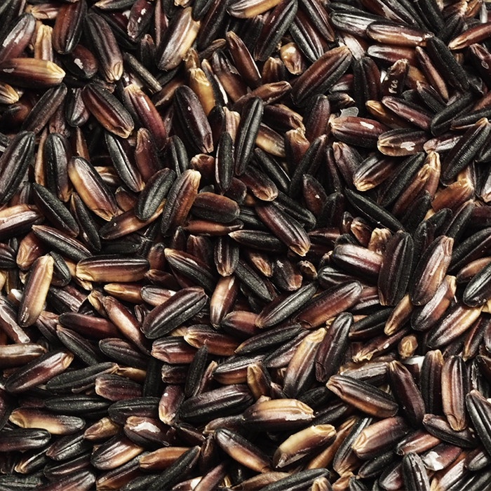 

1 Kg Hitam Organik Jawa Tengah - Kaze Rice