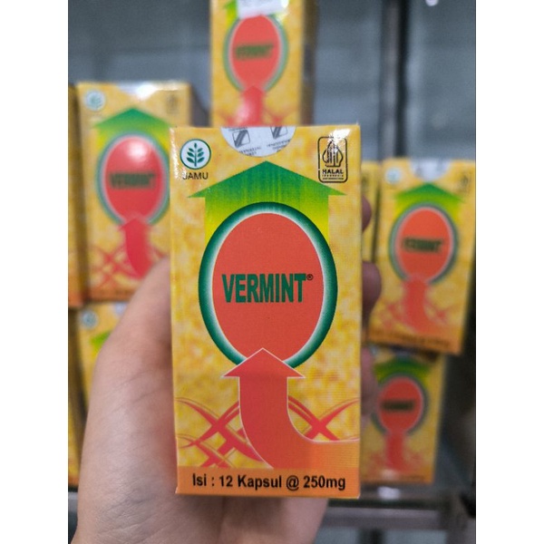 VERMINT 12 KAPSUL