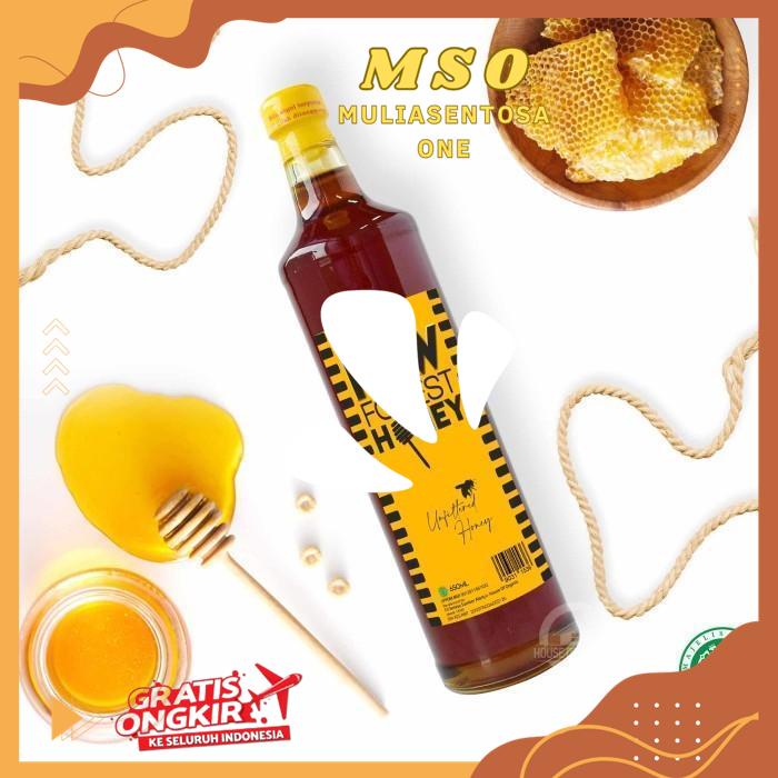 

HOUSE OF ORGANIX RAW FOREST HONEY 650 ML - TC HIGHT CLASS PRODUK !!