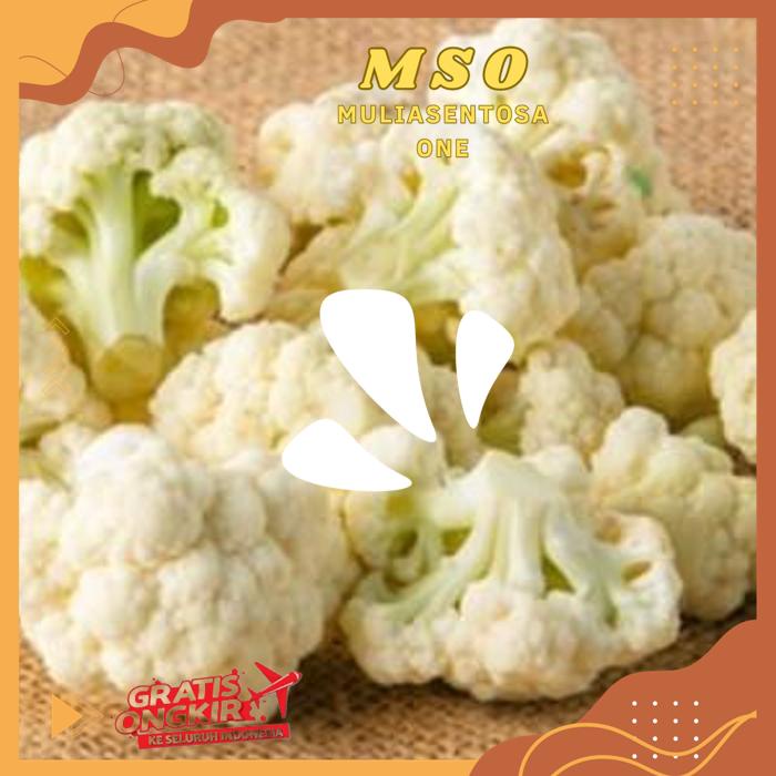 

KEMBANG KOL POTONG 200 GR PRODUK BAHAN BERKUALITAS TINGGI !!