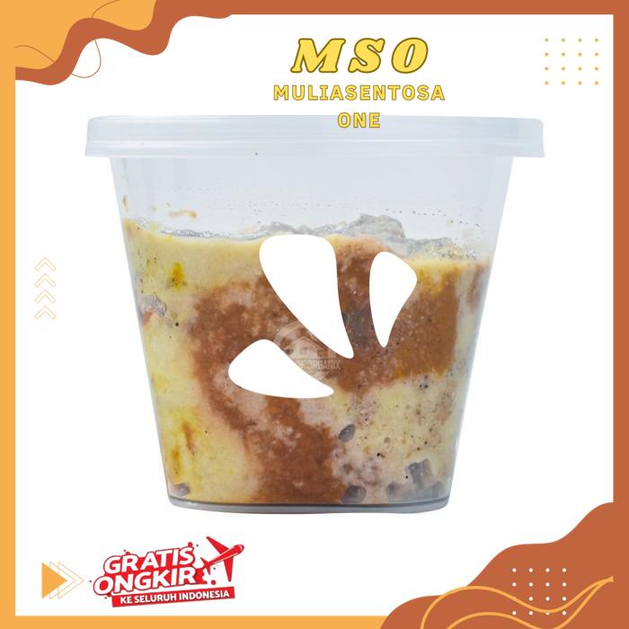 

BUMBU DASAR PUTIH 100 GR HIGHT CLASS PRODUK !!