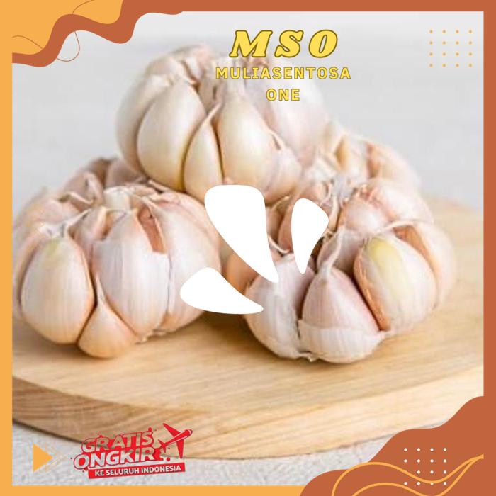 

BAWANG PUTIH 240 - 250 GR ( FRESH GARLIC CLOVES ) PODUK BAHAN BERKUALITAS !!