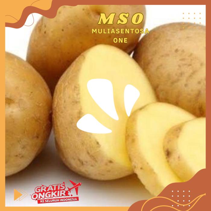 

KENTANG 800 GR ( FRESH POTATOES ) HIGHT CLASS PRODUK !!