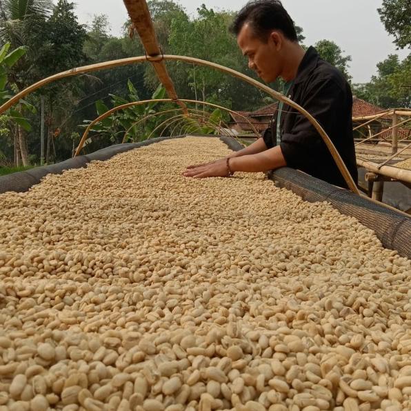 

Hitss!! green bean / biji kopi arabika flores manggarai wethull semiwash 1kg