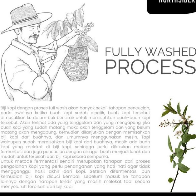 

Hitss!! Kopi Arabika Toraja Pulu-Pulu Fully washed - 200gr Northsider Coffee