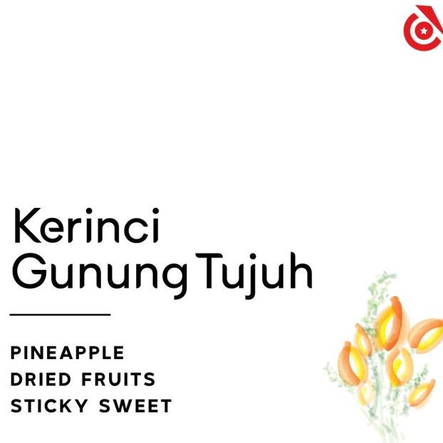 

Sale Kerinci Gunung Tujuh Natural - Instinct Coffee - Biji Kopi