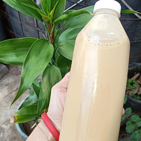 

Sale kopi susu gula aren siap minum dijamin enak/coffee/kopi garansi enak