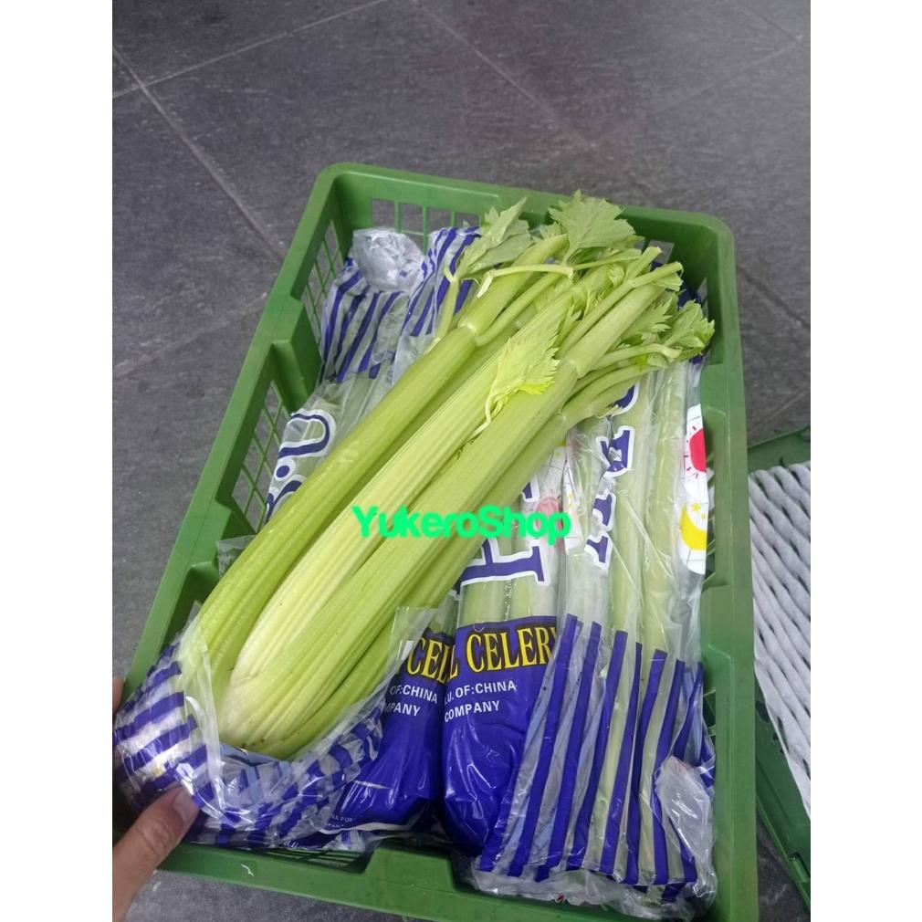 

Ready Celery Stick Import / Seledri Impor Fresh per KG