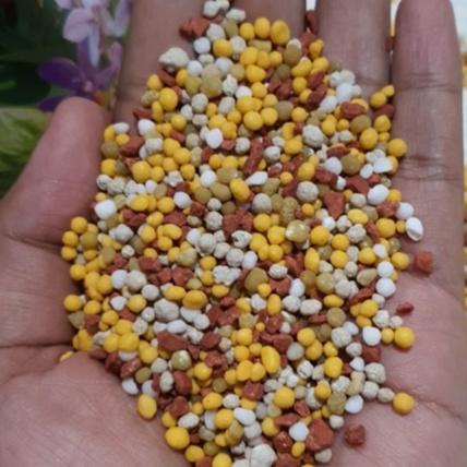 Pupuk Nutrisi Russell Cote (25 Gram)