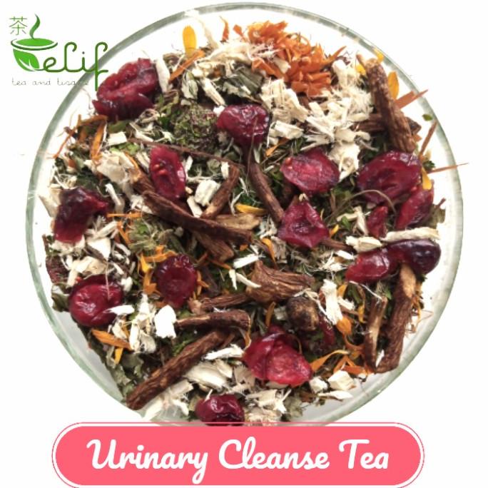 

Berkualitas! Urinary Cleanse Tea Echinachea, Celery seeds, Parsley, Cranberry !