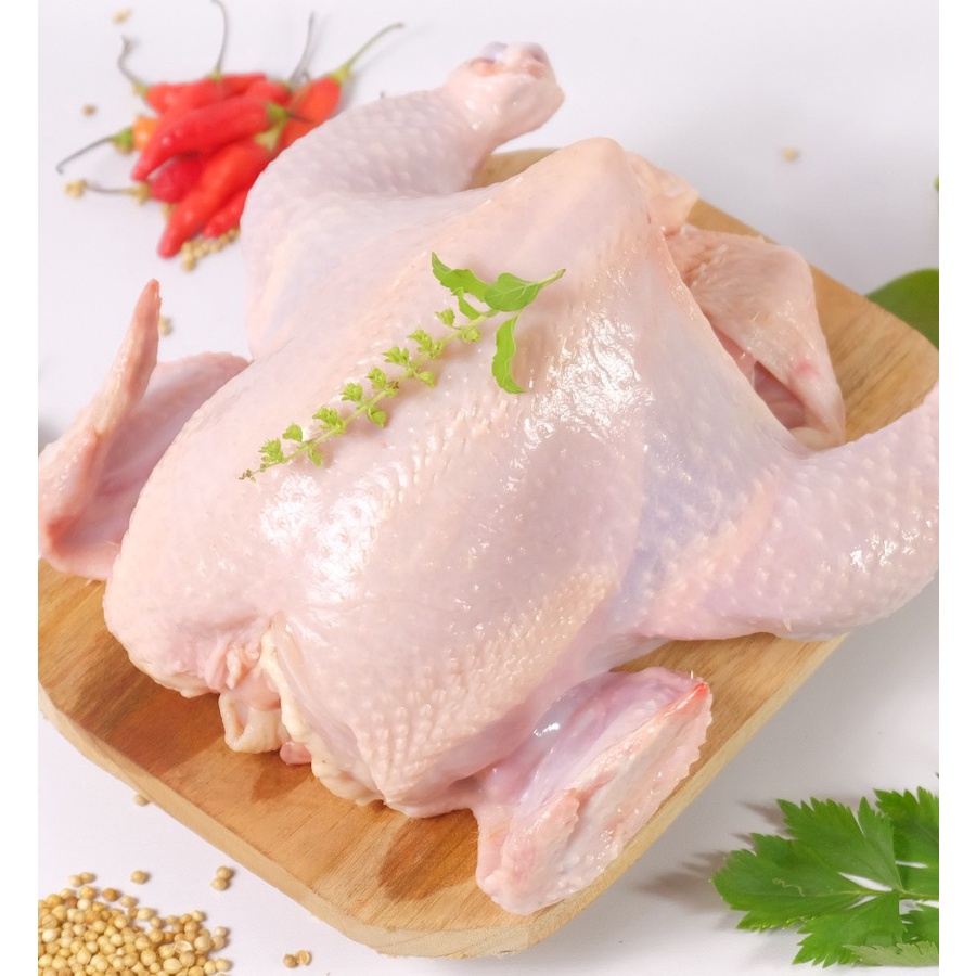 

Ayam Broiler 1,3 - 1,4 kg