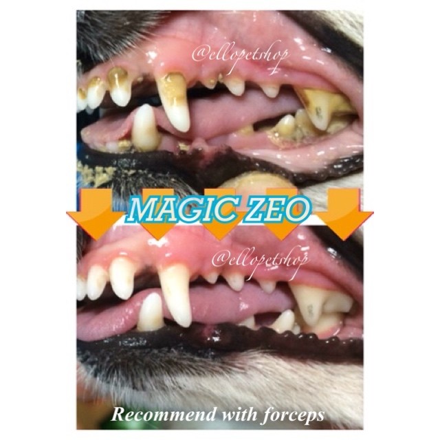 Promo Magic Zeo Japan / Scalling Anjing / Pembersih Karang Gigi Anjing