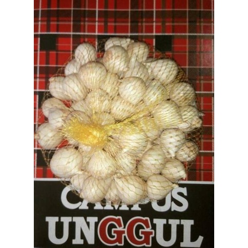 

Bawang Putih Tunggal / Bawang Lanang -Bawang Kesehatan Herbal 500gr