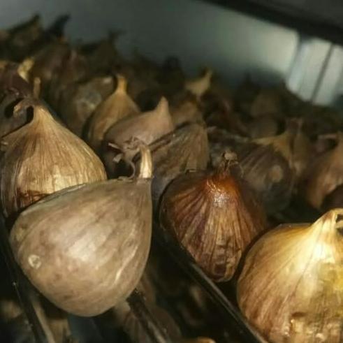 

Black garlic 500 gram bawang hitam tunggal lanang langsung dari supply