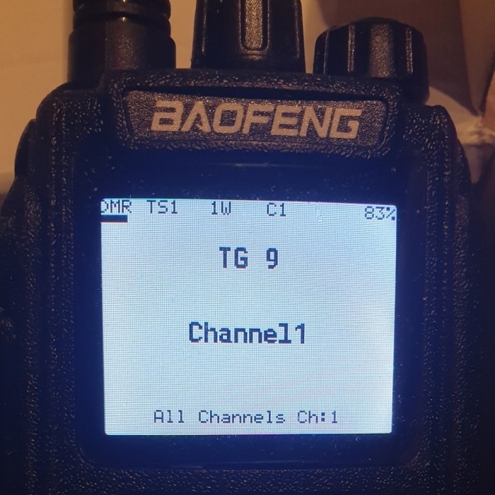 HT DMR BAOFENG DM1701 OPENGD77 (READY) NO PO