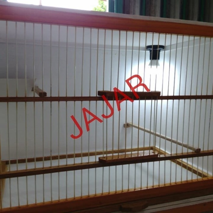 Terlaris Promo Box Kandang Breeding, Ternak Kenari Bongkar Pasang Best Seller Kandang Burung