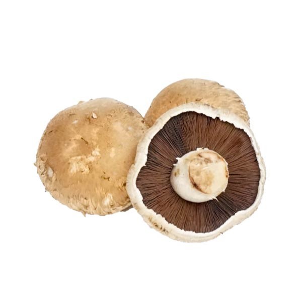 

JAMUR PORTABELLA PACK 250 GR