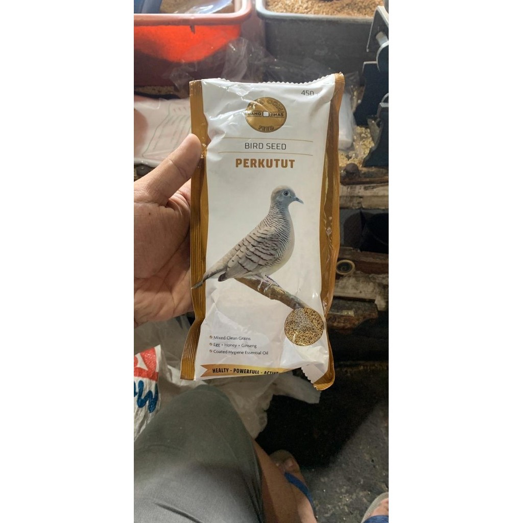 Gold Coin Kutut (Goldcoin Perkutut)